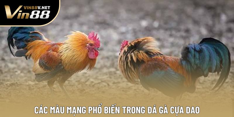 Các màu mạng phổ biến trong đá gà cựa dao Các màu mạng phổ biến trong đá gà cựa dao