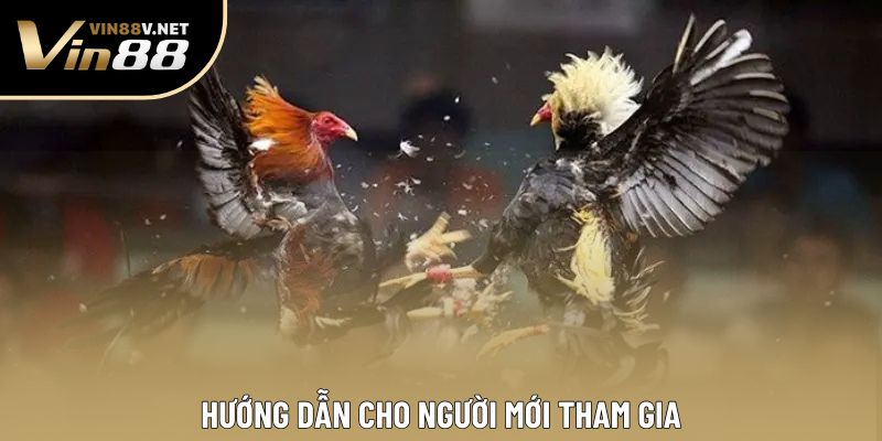 Hướng dẫn cho người mới tham gia Hướng dẫn cho người mới tham gia
