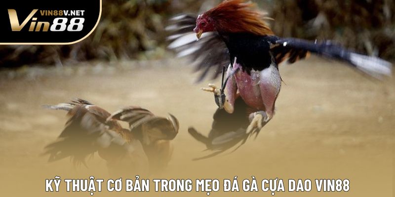 Kỹ thuật cơ bản trong mẹo đá gà cựa dao VIN88 Kỹ thuật cơ bản trong mẹo đá gà cựa dao VIN88