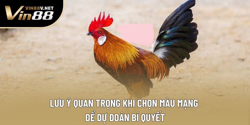 Lưu ý quan trọng khi chọn màu mạng để dự đoán bí quyết Lưu ý quan trọng khi chọn màu mạng để dự đoán bí quyết