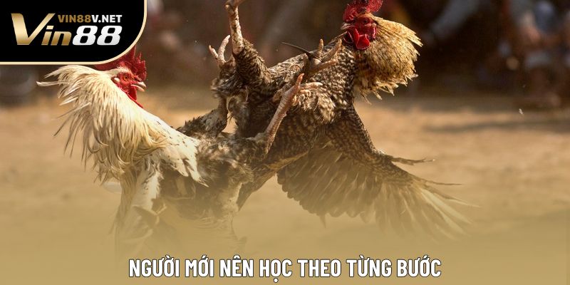 Người mới nên học theo từng bước Người mới nên học theo từng bước