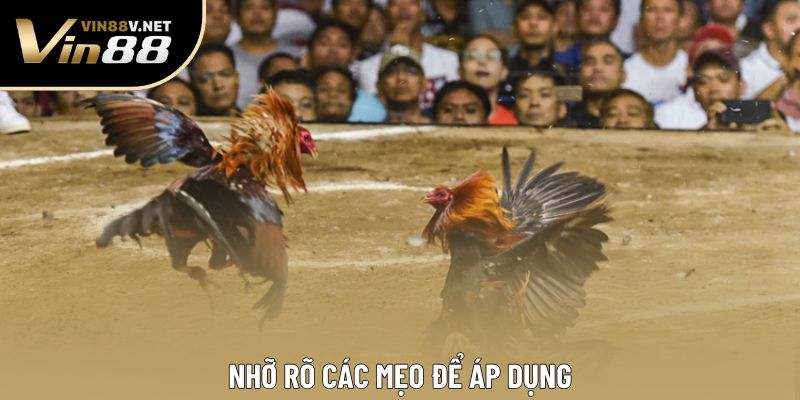Nhỡ rõ các mẹo để áp dụng Nhỡ rõ các mẹo để áp dụng