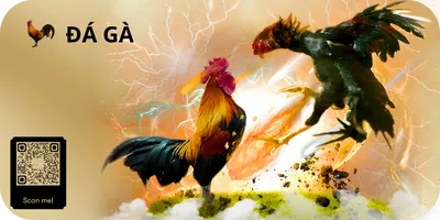 Vin88 đá gà